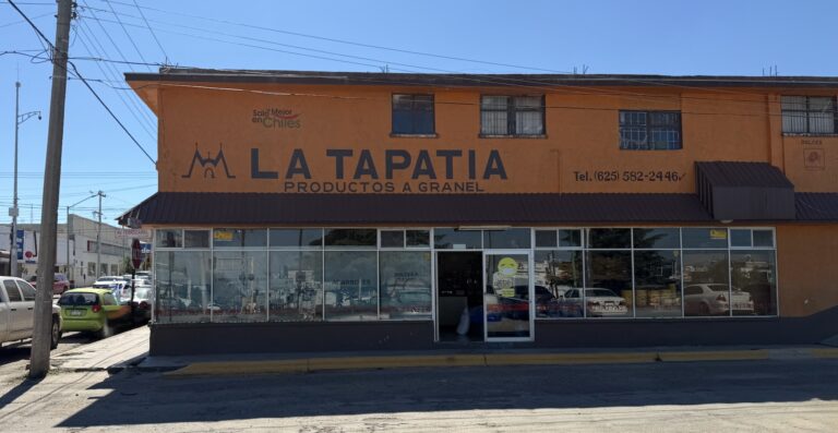 Imagen 06 10 25 a las 4.24 p.m 768x397